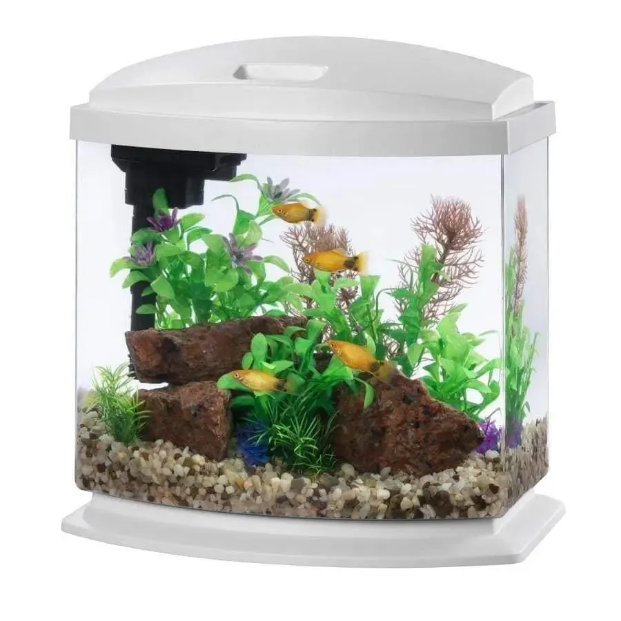 Aqueon LED MiniBow™ Fish Aquarium Kit with SmartClean™ Technology