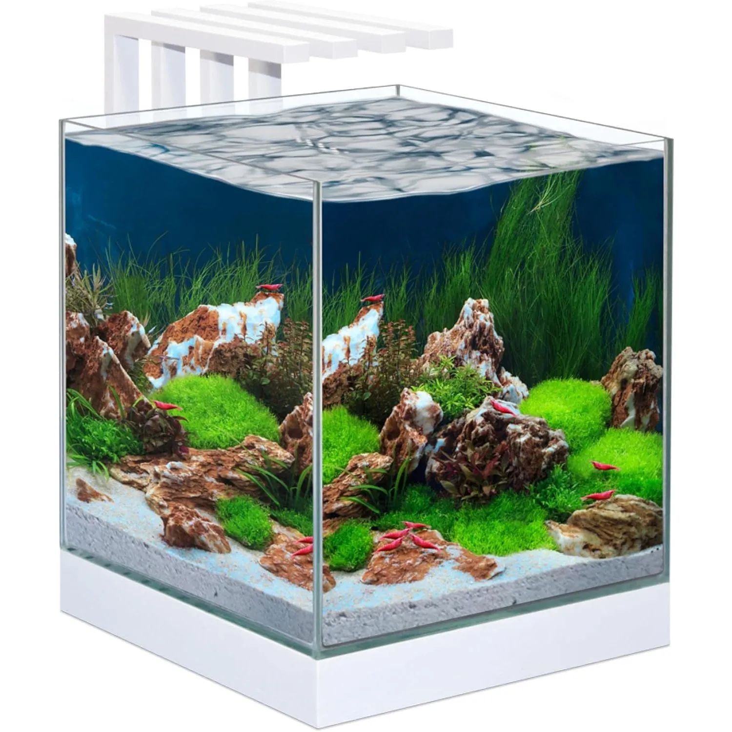 Ciano White Nexus Pure Cube 22L Aquarium with LED