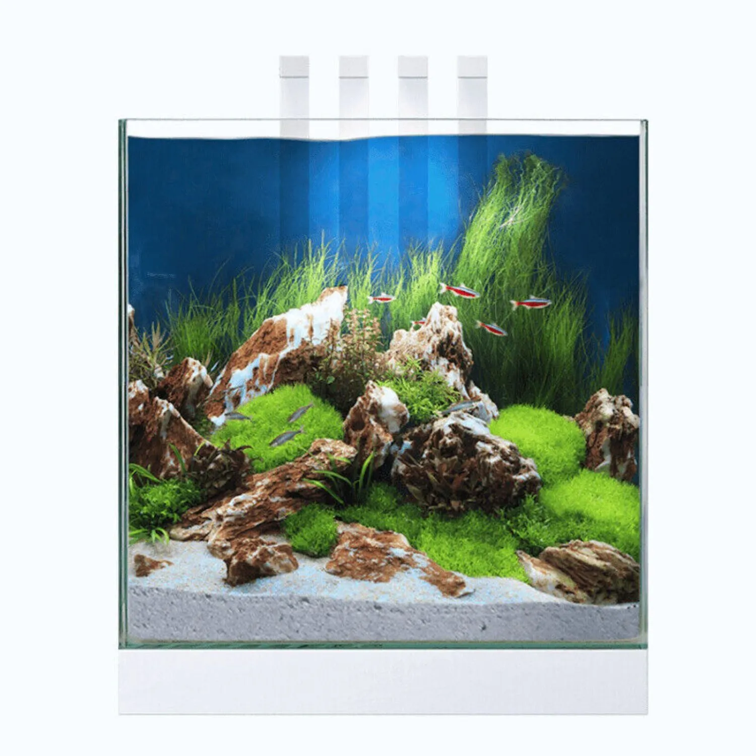 Ciano White Nexus Pure Cube 22L Aquarium with LED