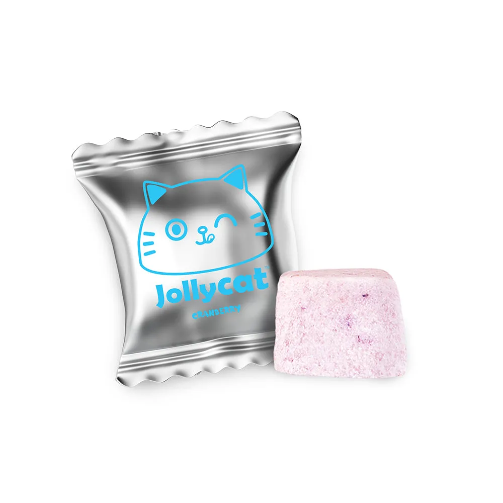 Jolly Cat Freeze-Dried Yogurt Cubes Assorted Flavors Box of 20pcs