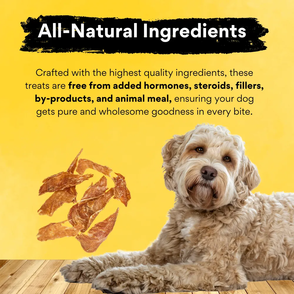 Kanu Pet Cheese and Chicken Breast Dog Treats