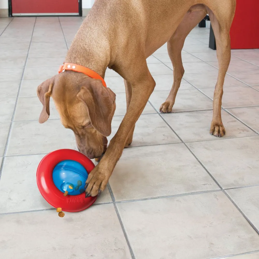 Kong - Gyro Dog Toy