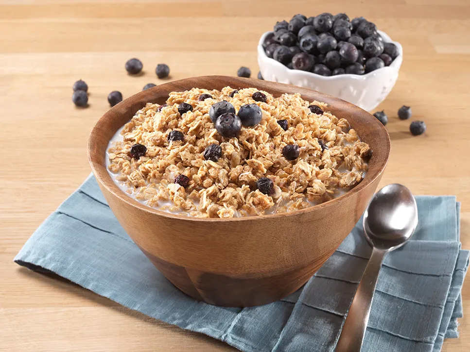 Mountain House Granola with Blueberries & Milk