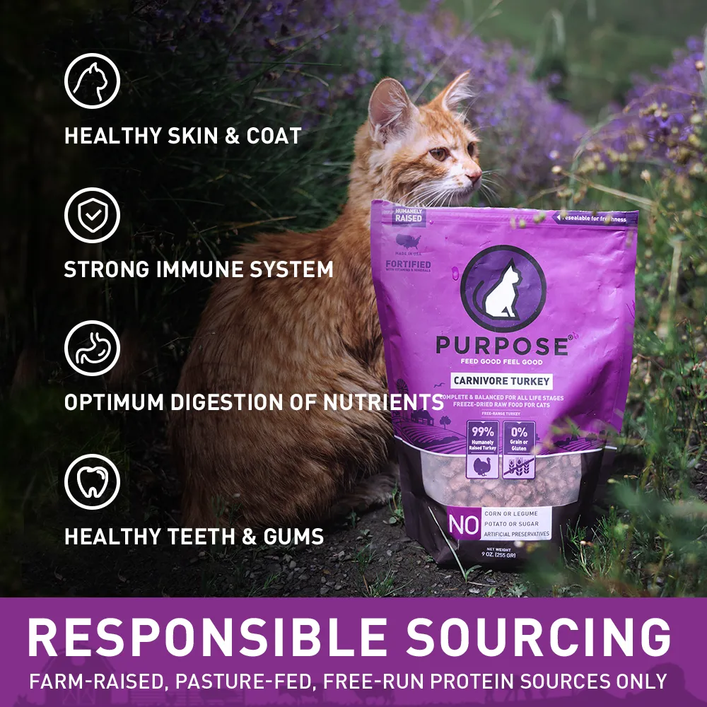 PURPOSE Freeze Dried Raw Cat Food - Carnivore Turkey Freeze 9 oz.